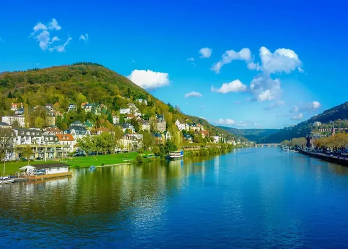 Cosy In With Barbecue Apartment Sankt Goarshausen